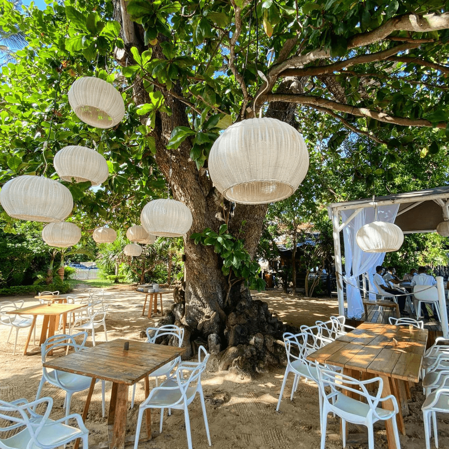 Un restaurant les pieds dans le sable : La Plage by Evaco