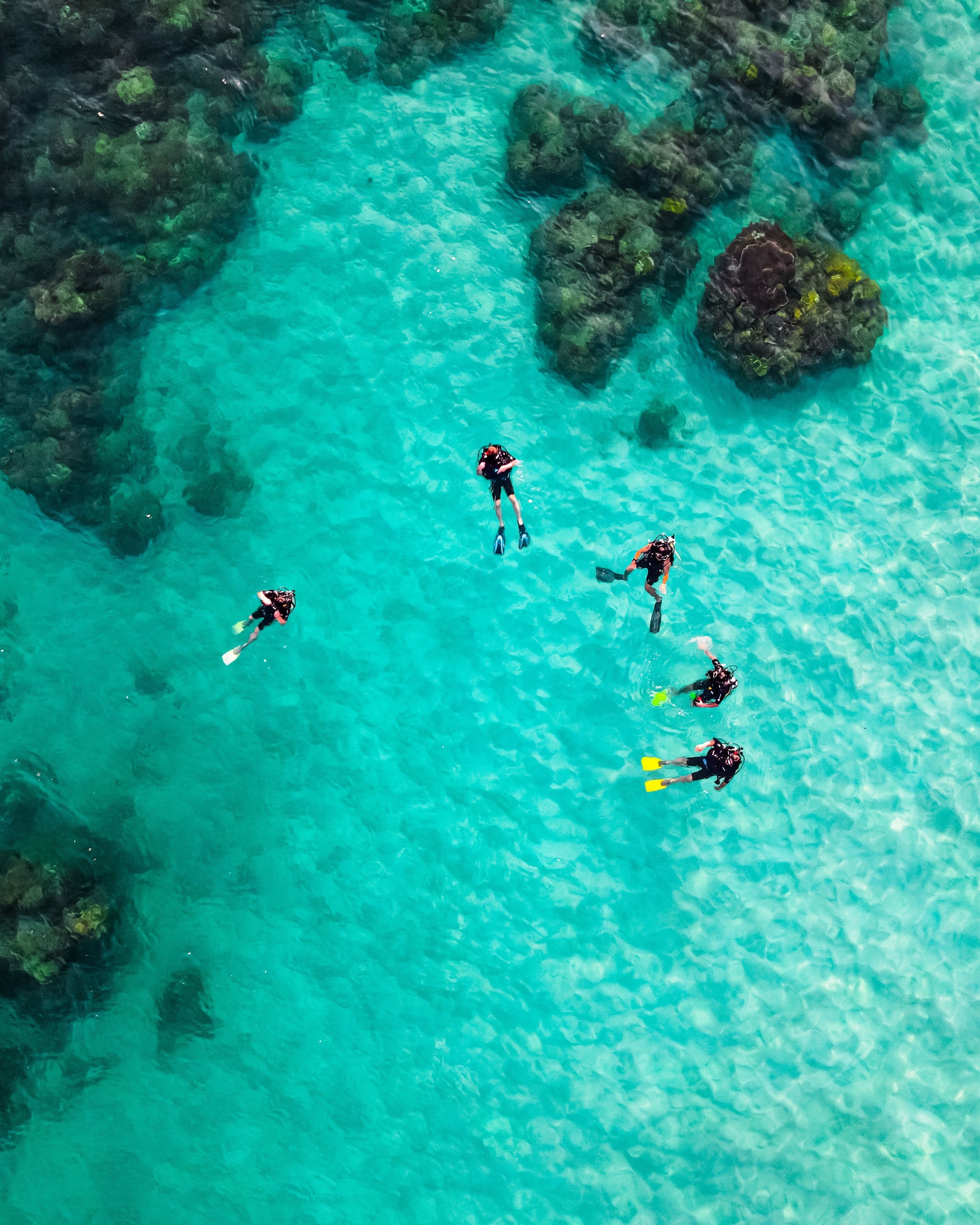 Un club de plongée : Le Ocean Spirit