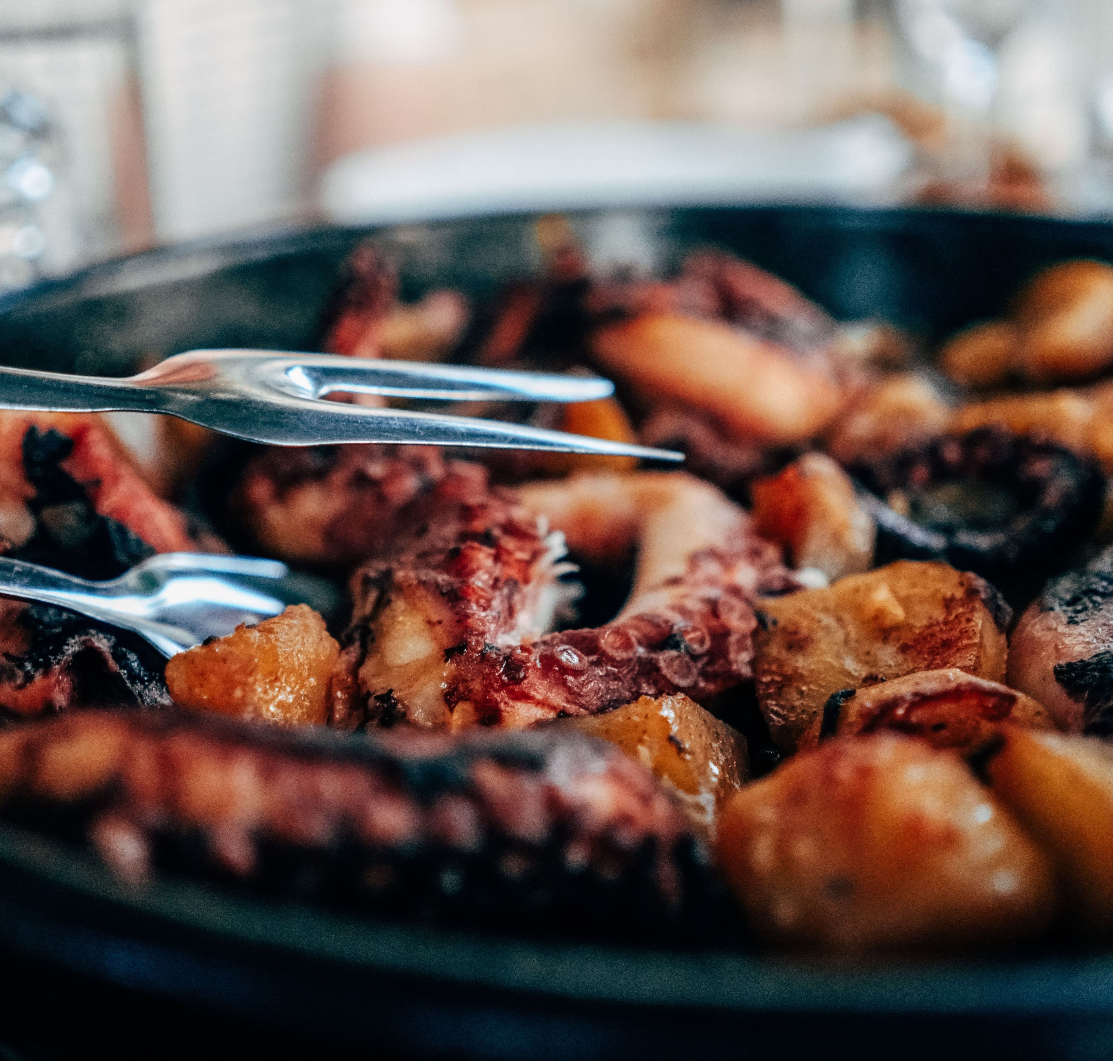 Une spécialité à tester : le curry de poulpe