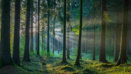 best places to visit in Germany