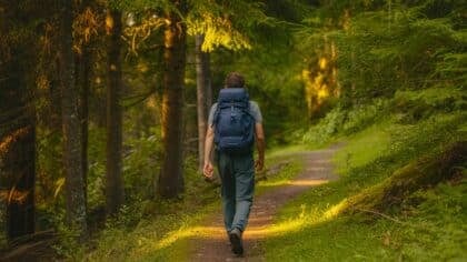 sustainable travel 2025