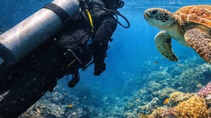 scuba diving in Japan