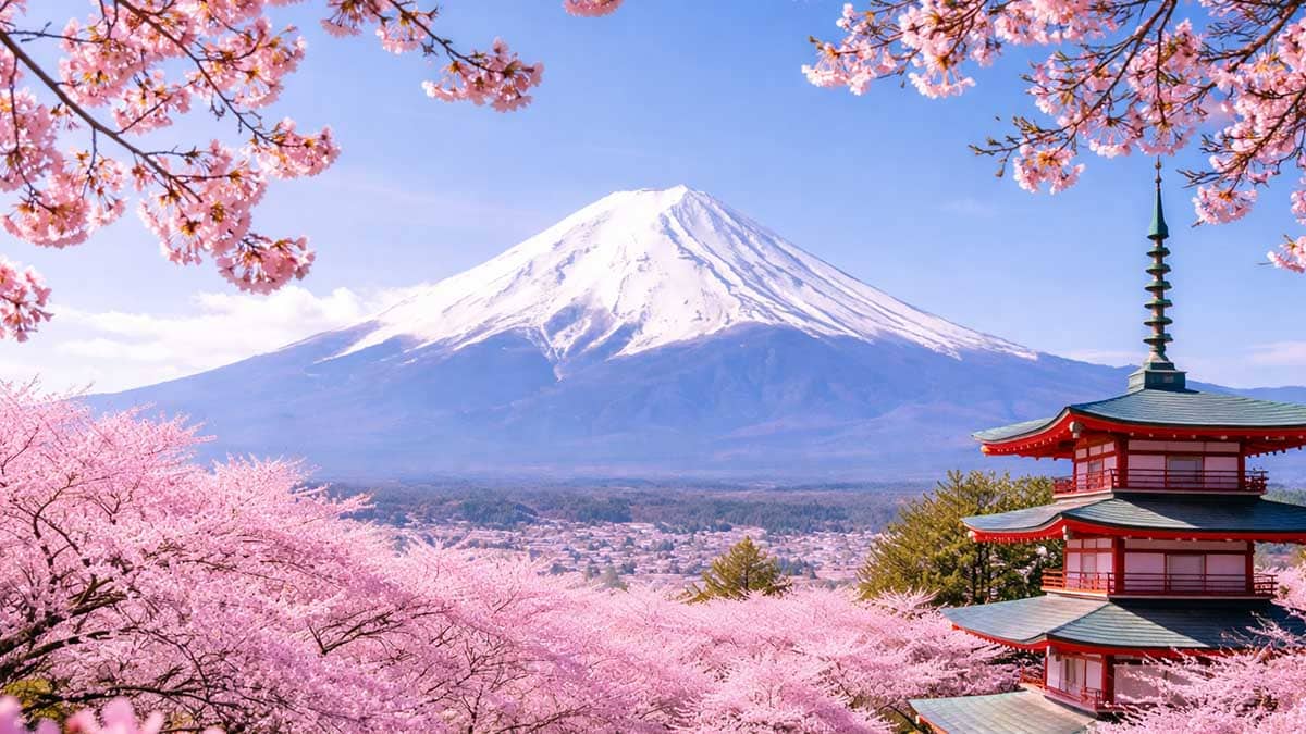 Mount Fuji cherry blossom festival cancelled