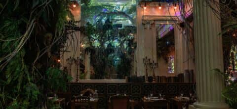 Découvrez le Jungle Palace : Le nouveau restaurant immersif d'Ephemera à Paris !
