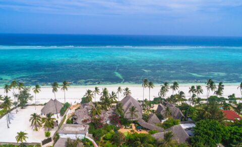 Voyage à Zanzibar : Découverte de ses joyaux cachés pour une expérience inoubliable !