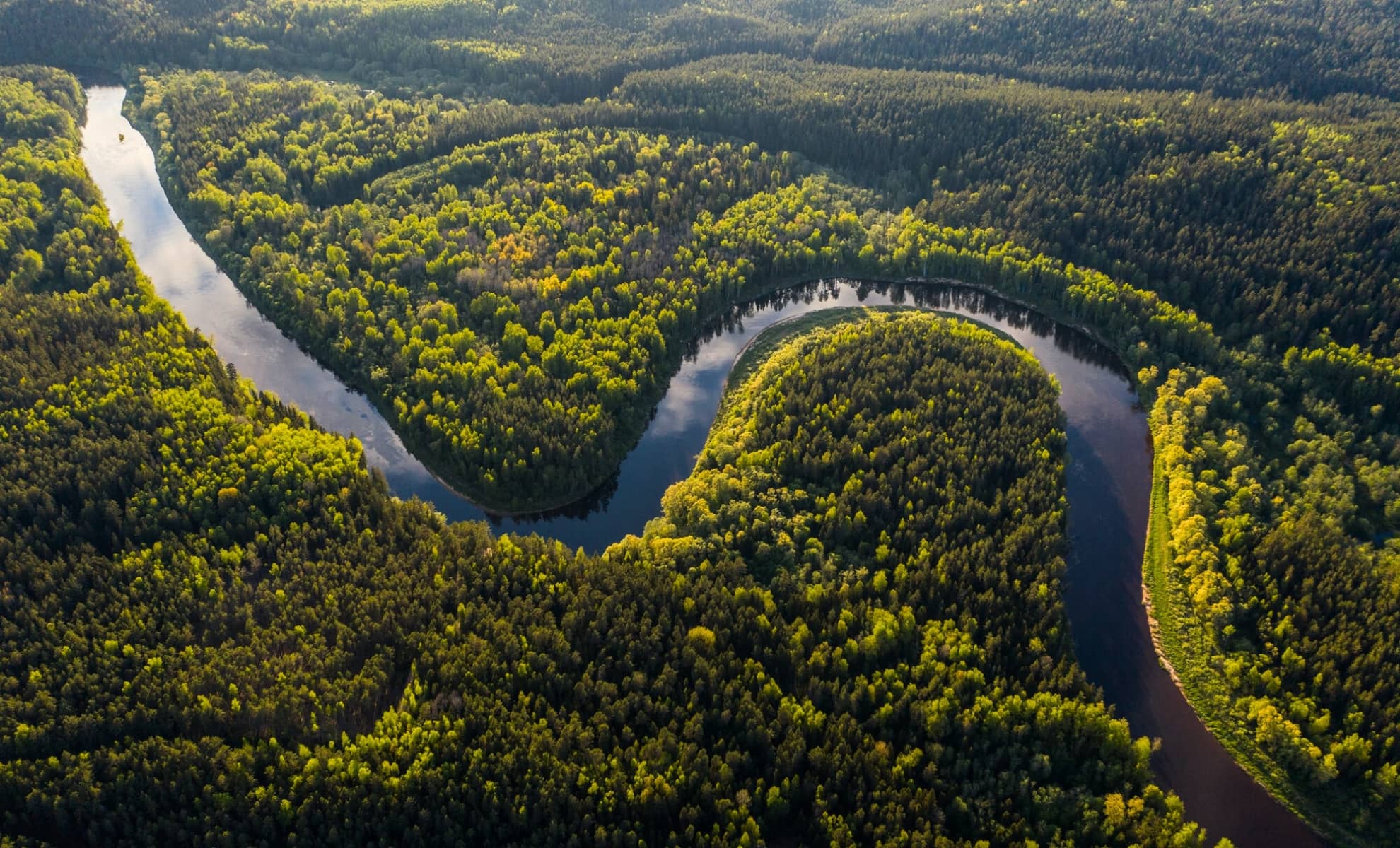 La forêt Amazonienne au Brésil