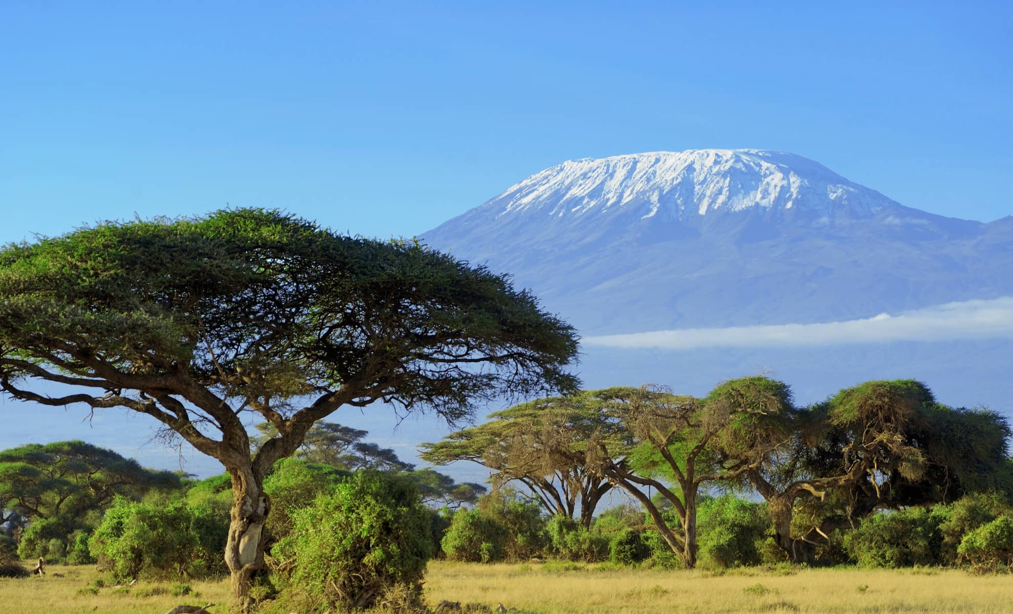 Le mont Kilimandjaro en Tanzanie