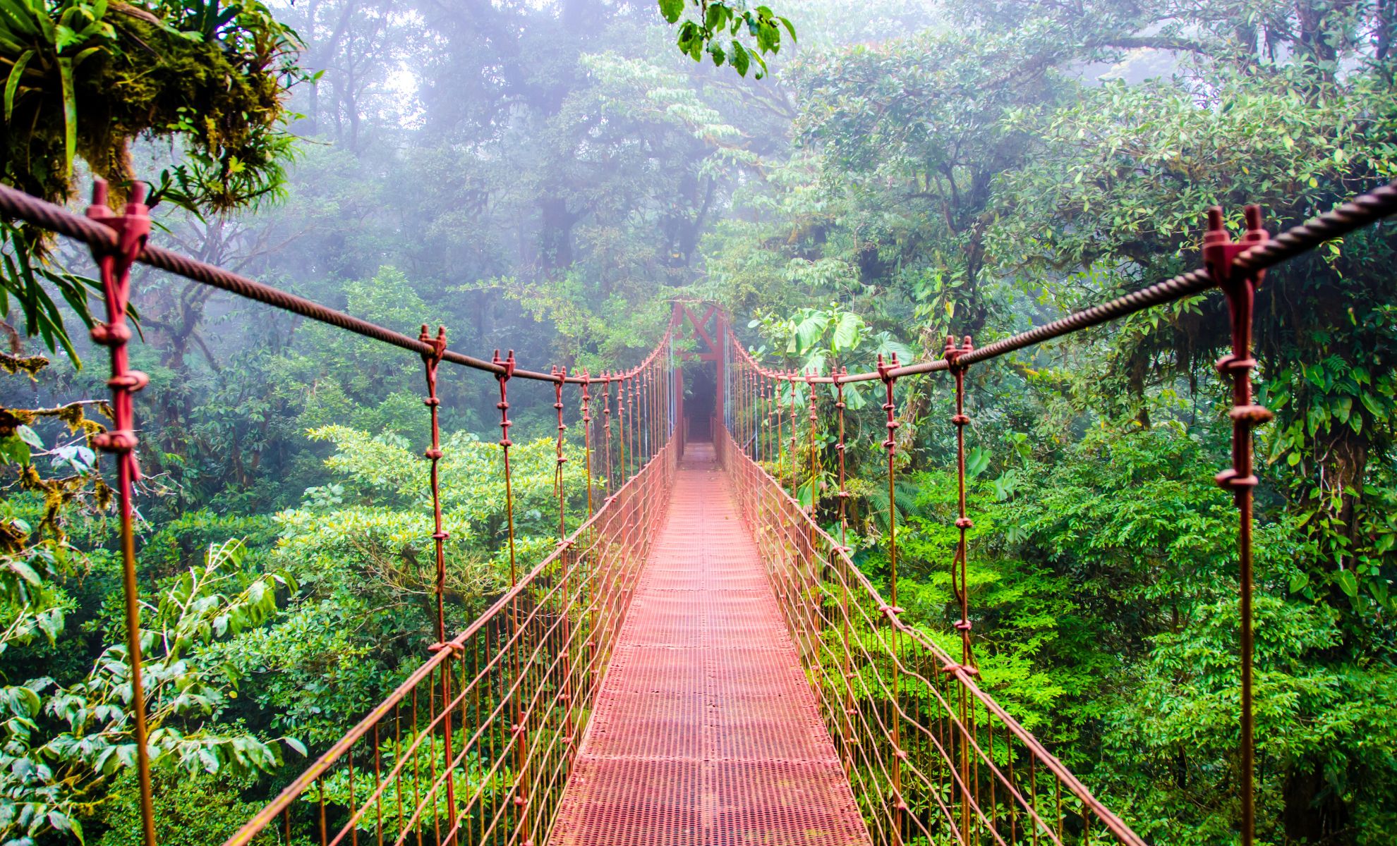 Réserve naturelle de Monteverde au Costa Rica