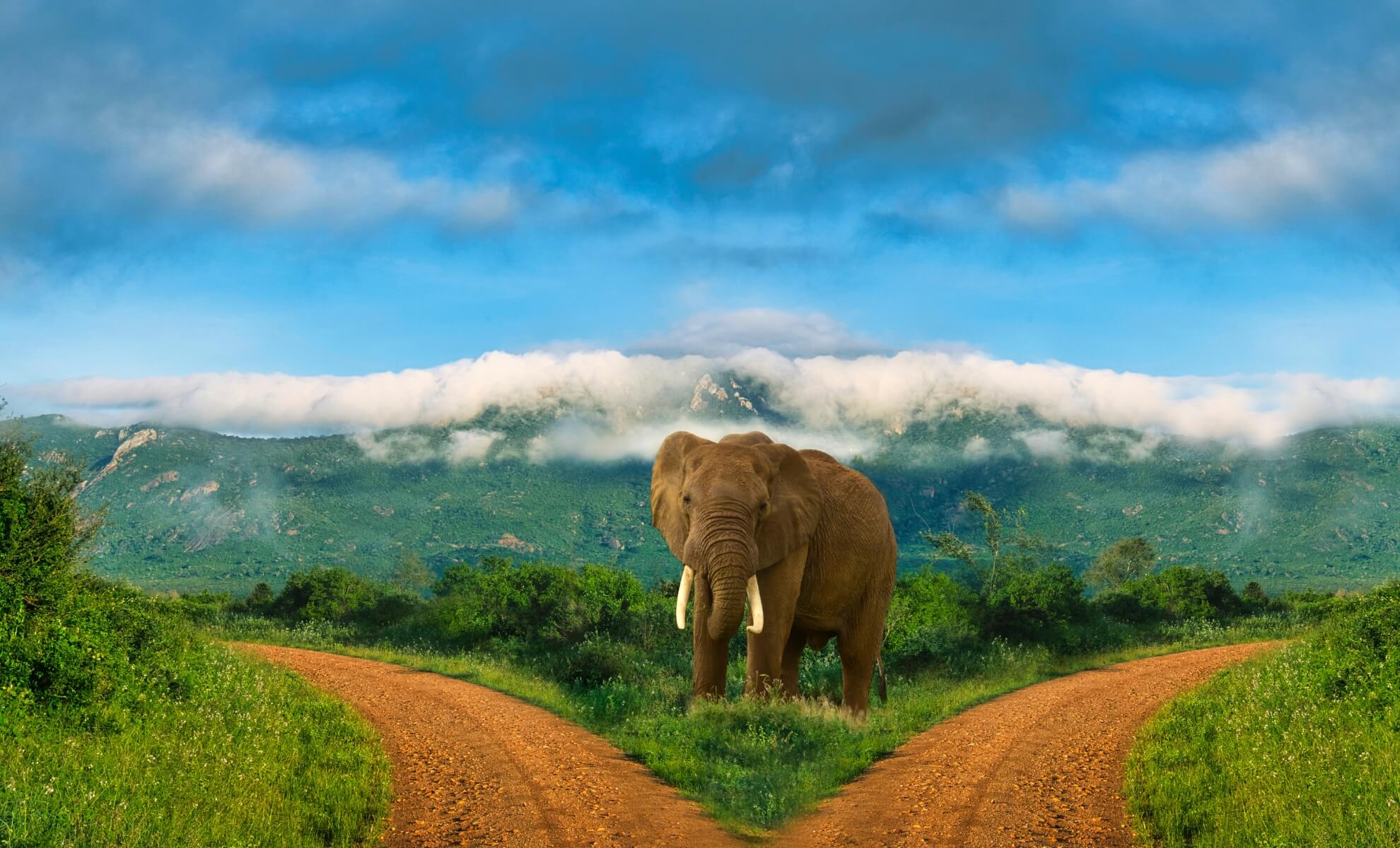 Parc national de Tsavo au Kenya