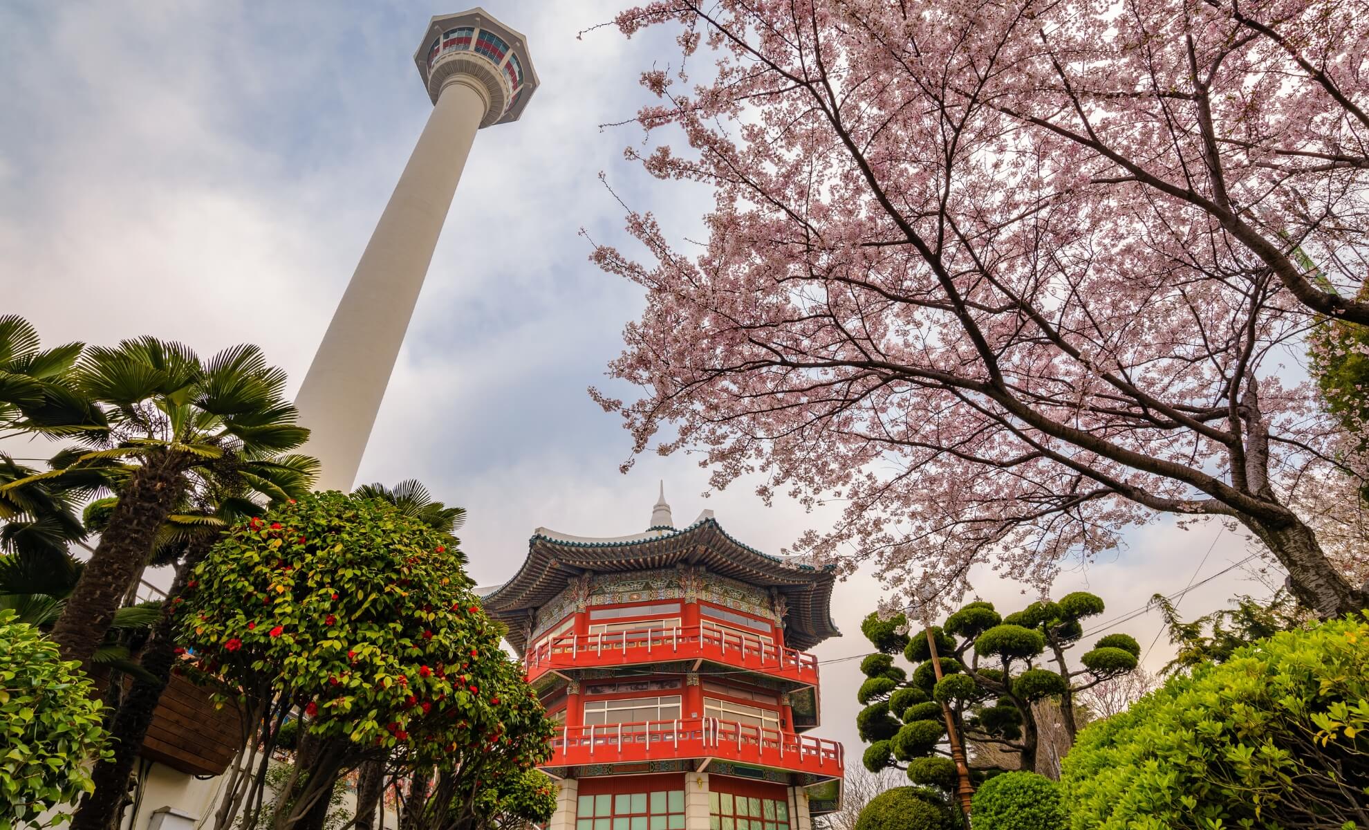 La tour de Busan, le parc Yongdusan, Busan en Corée du Sud