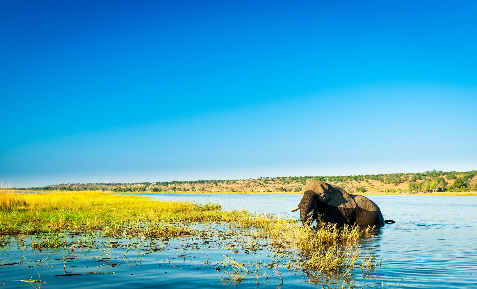 Le parc national de Chobe, Botswana