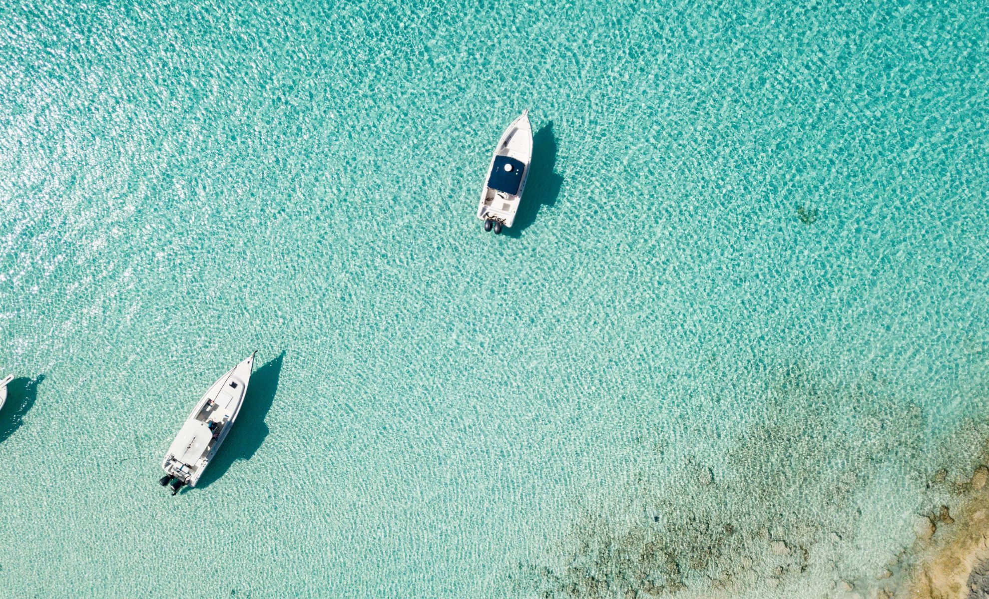 Le récif blanc, Bahamas