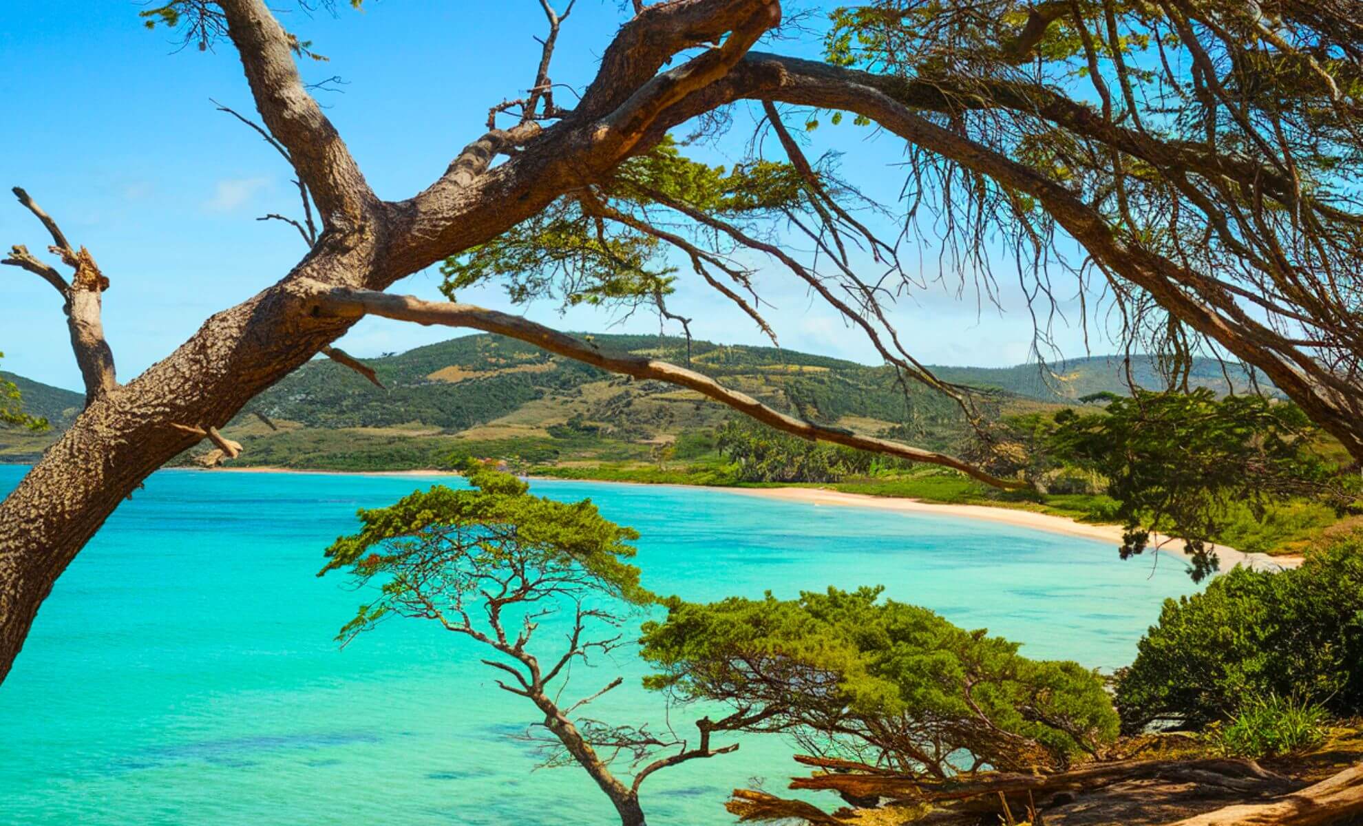 L'île de Porquerolles