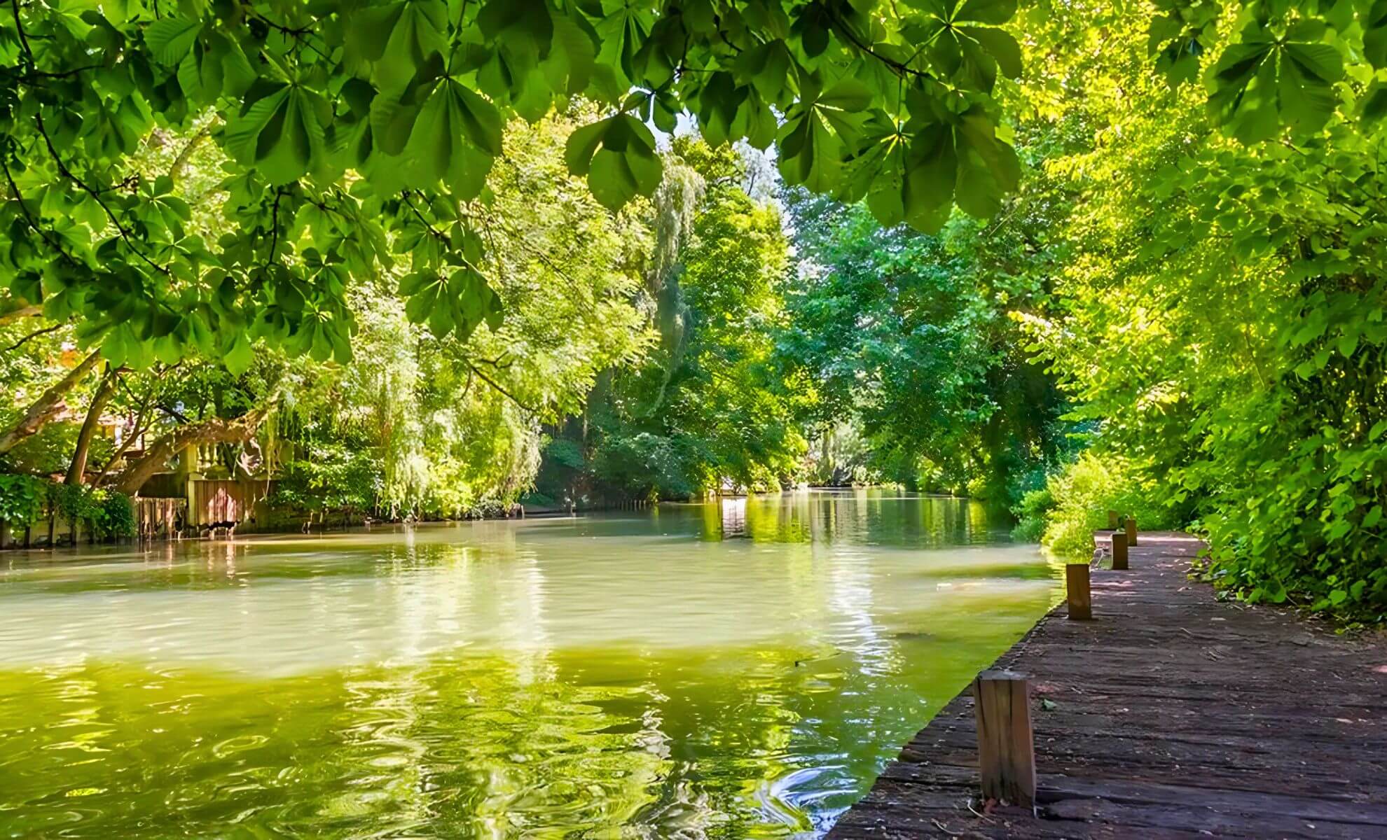 Baignade dans la Marne