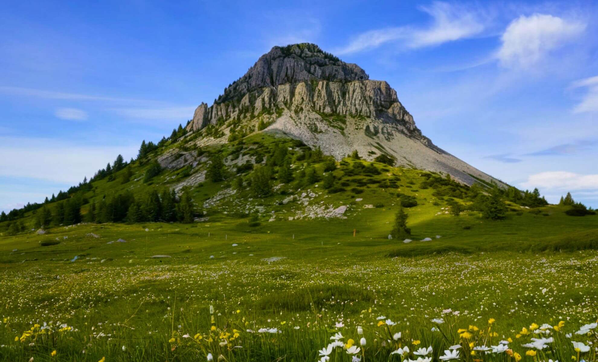 Mont Gerbier de Jonc - source de la Loire