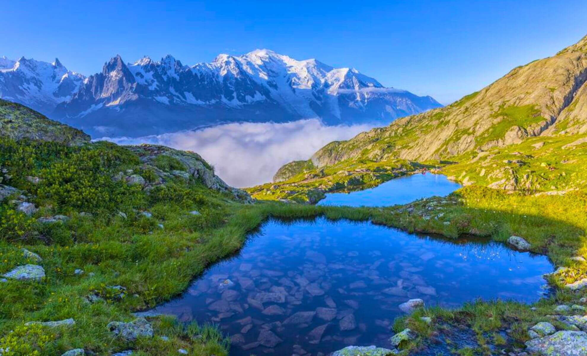 La montagne du Mont Blanc