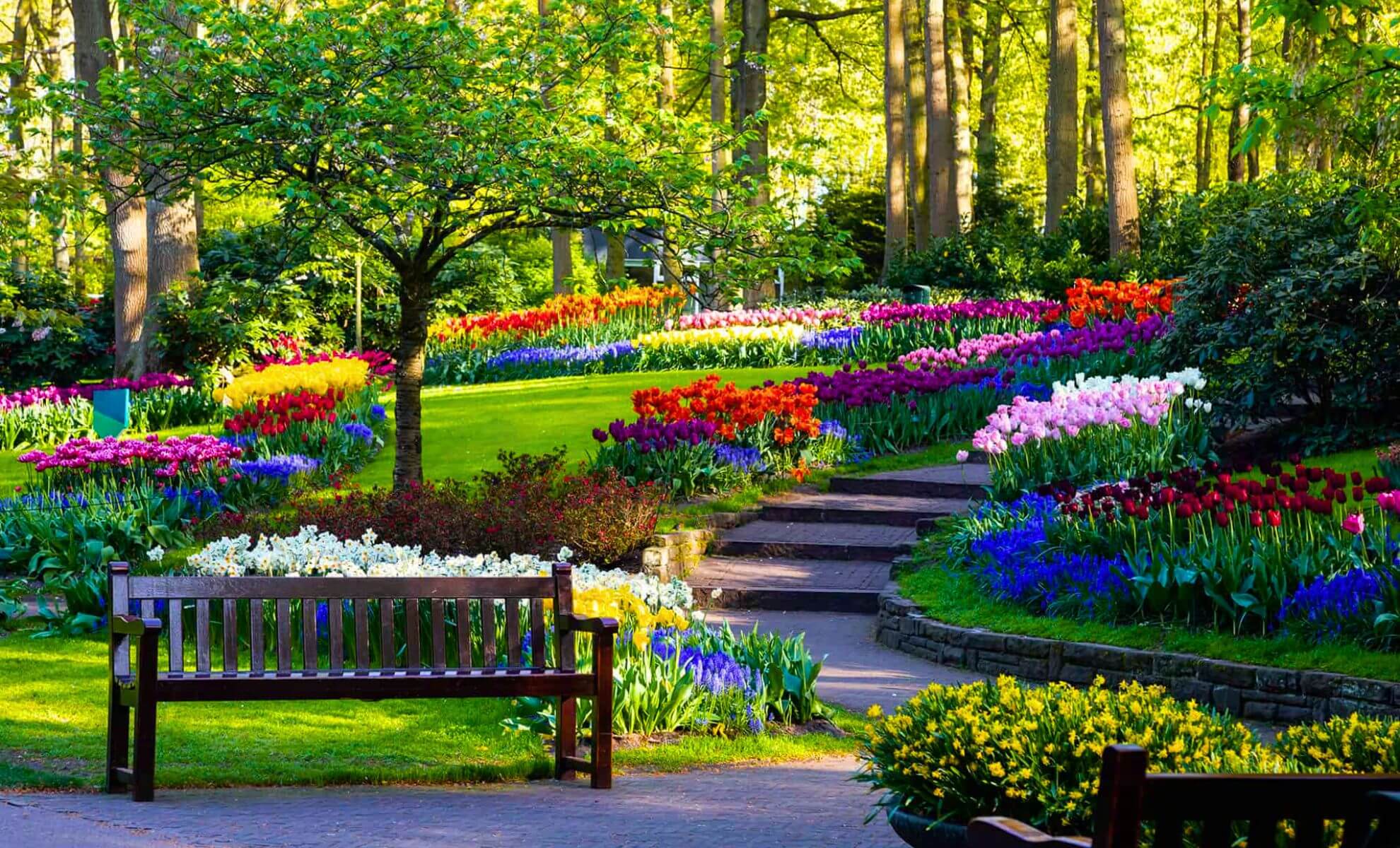Festival des tulipes au parc Keukenhof au printemps (Pays-Bas)