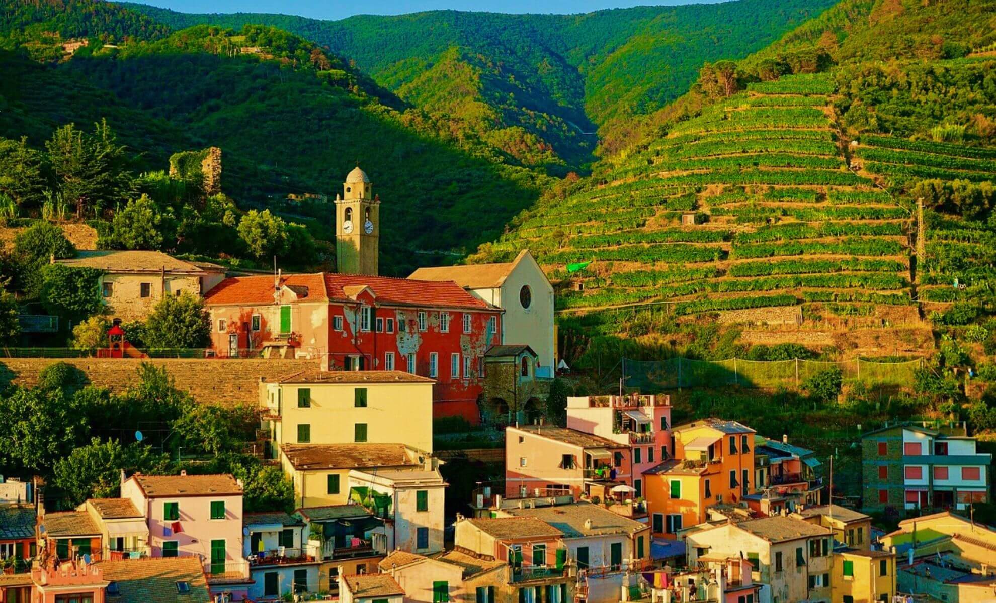 Les vignes suspendus des Cinques Terres en Italie