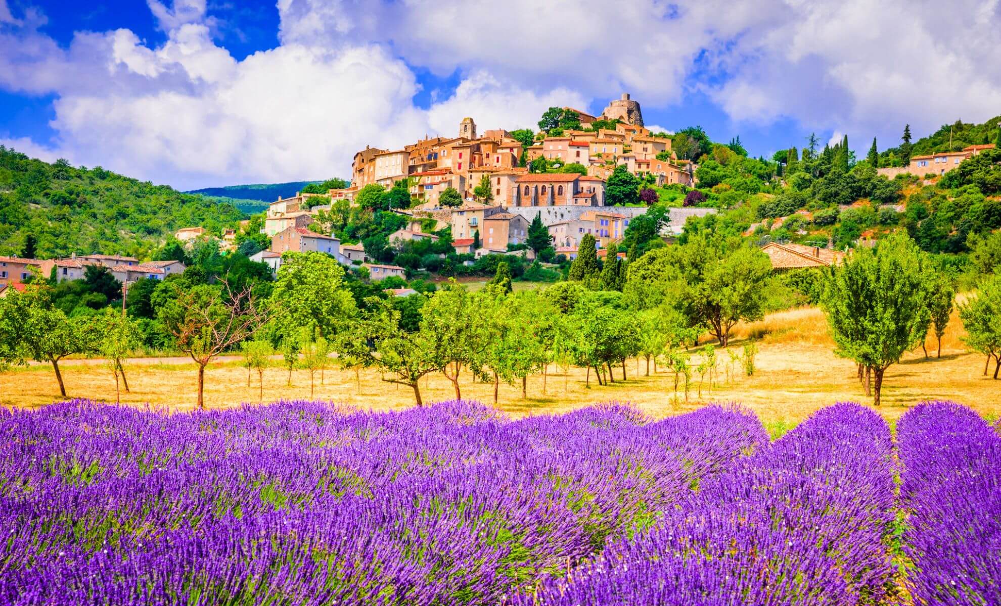 Paysage en Provence