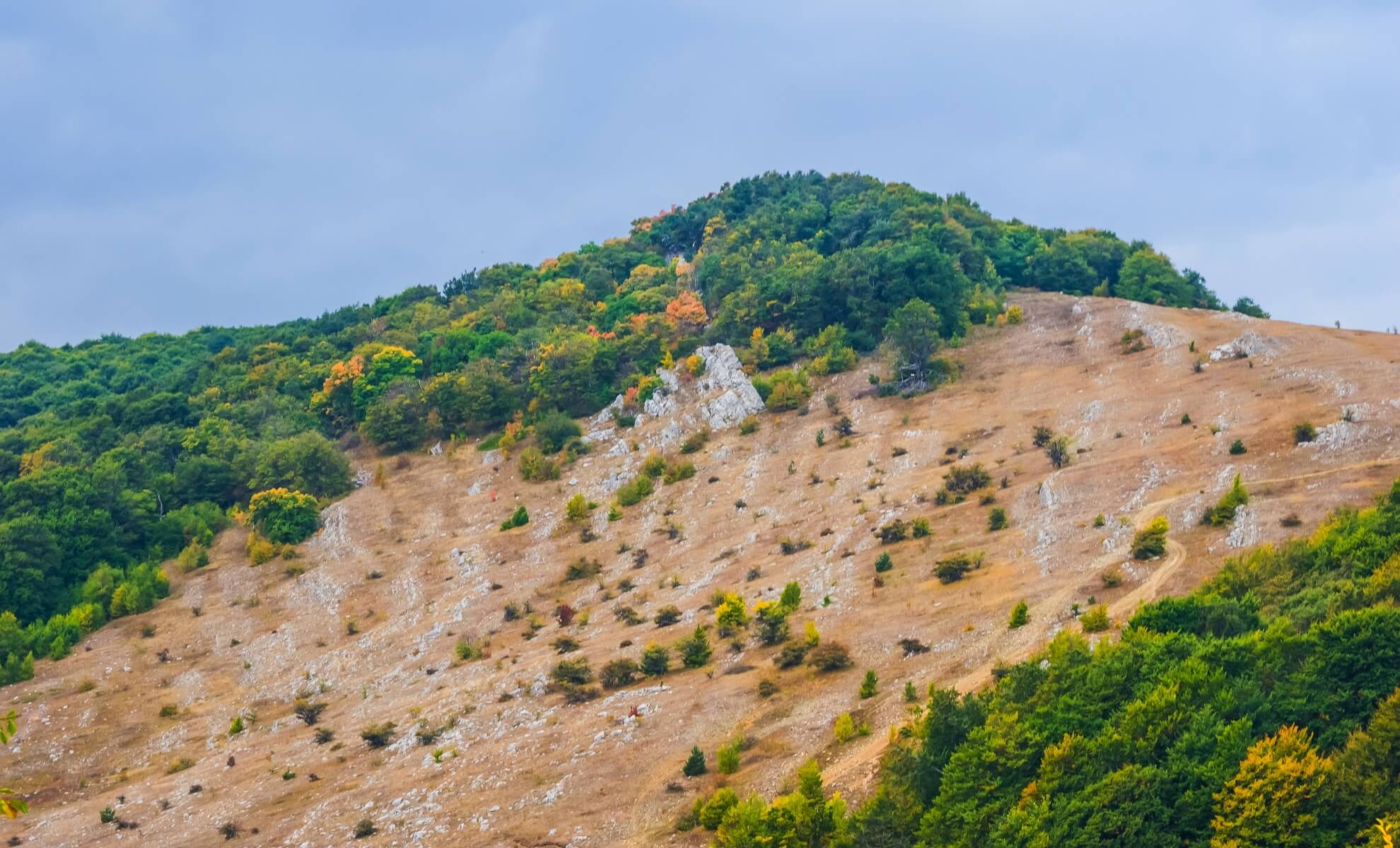 colline d’Élancourt