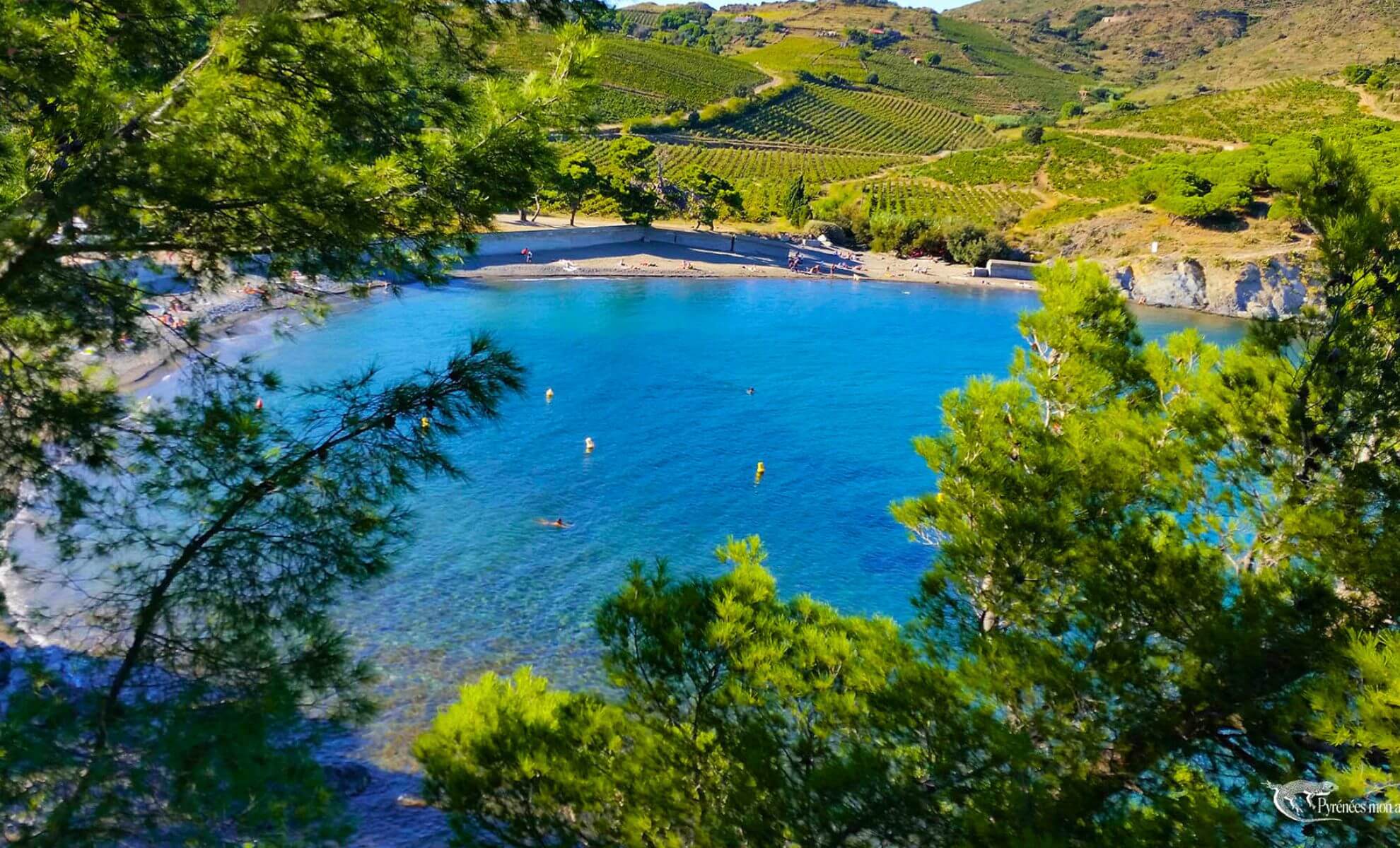 L’Anse de Paulilles dans les Pyrénées-Orientales en Occitanie