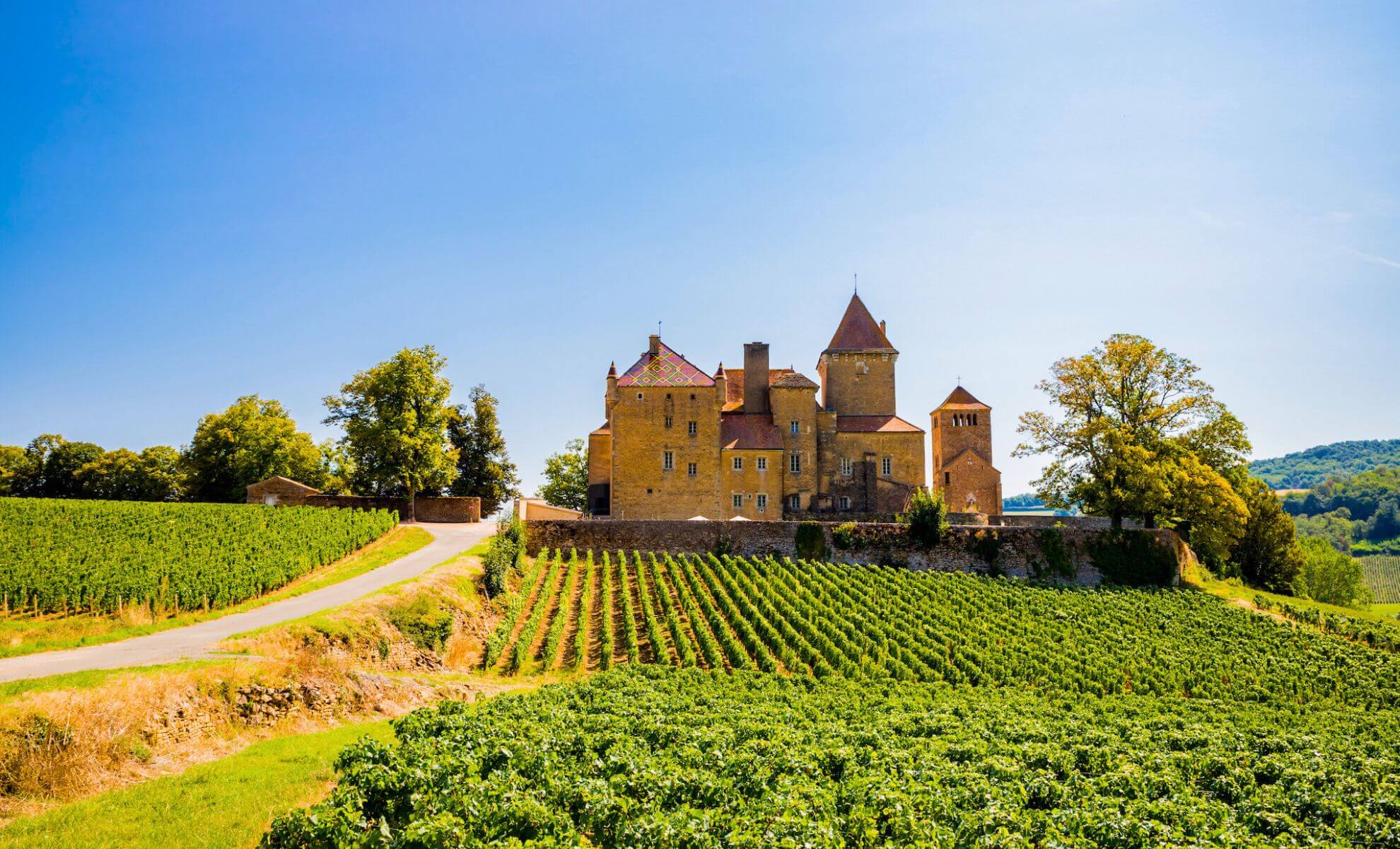 La Route des Grands Crus en Bourgogne : itinéraire viticole