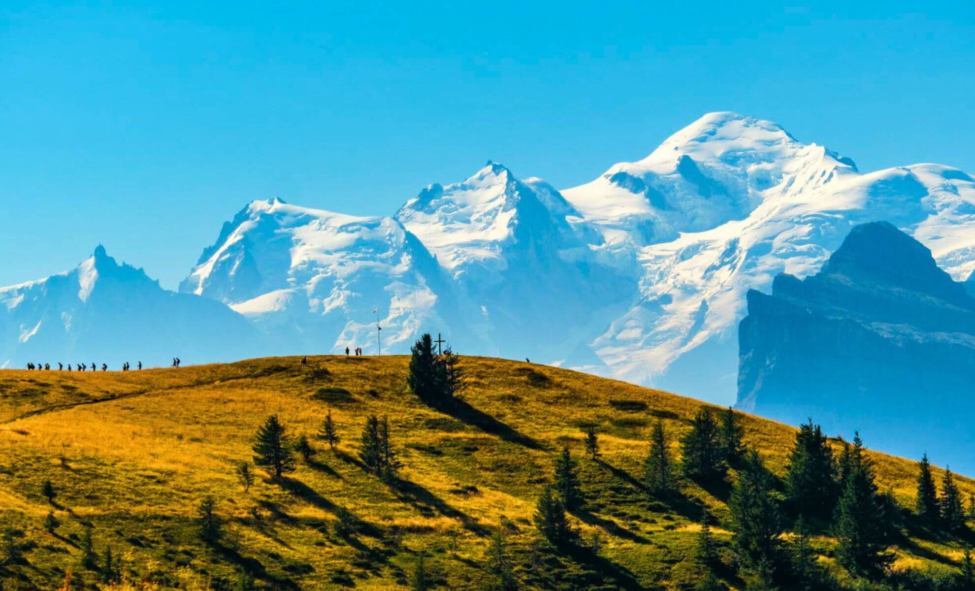 Le Mont Blanc : paysage naturel en France