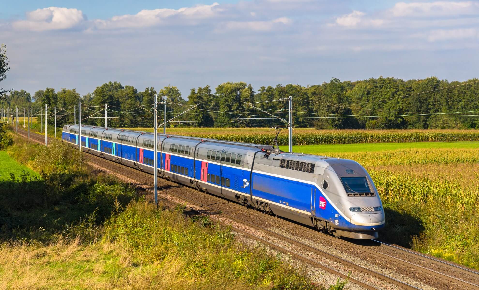 TGV Marseille