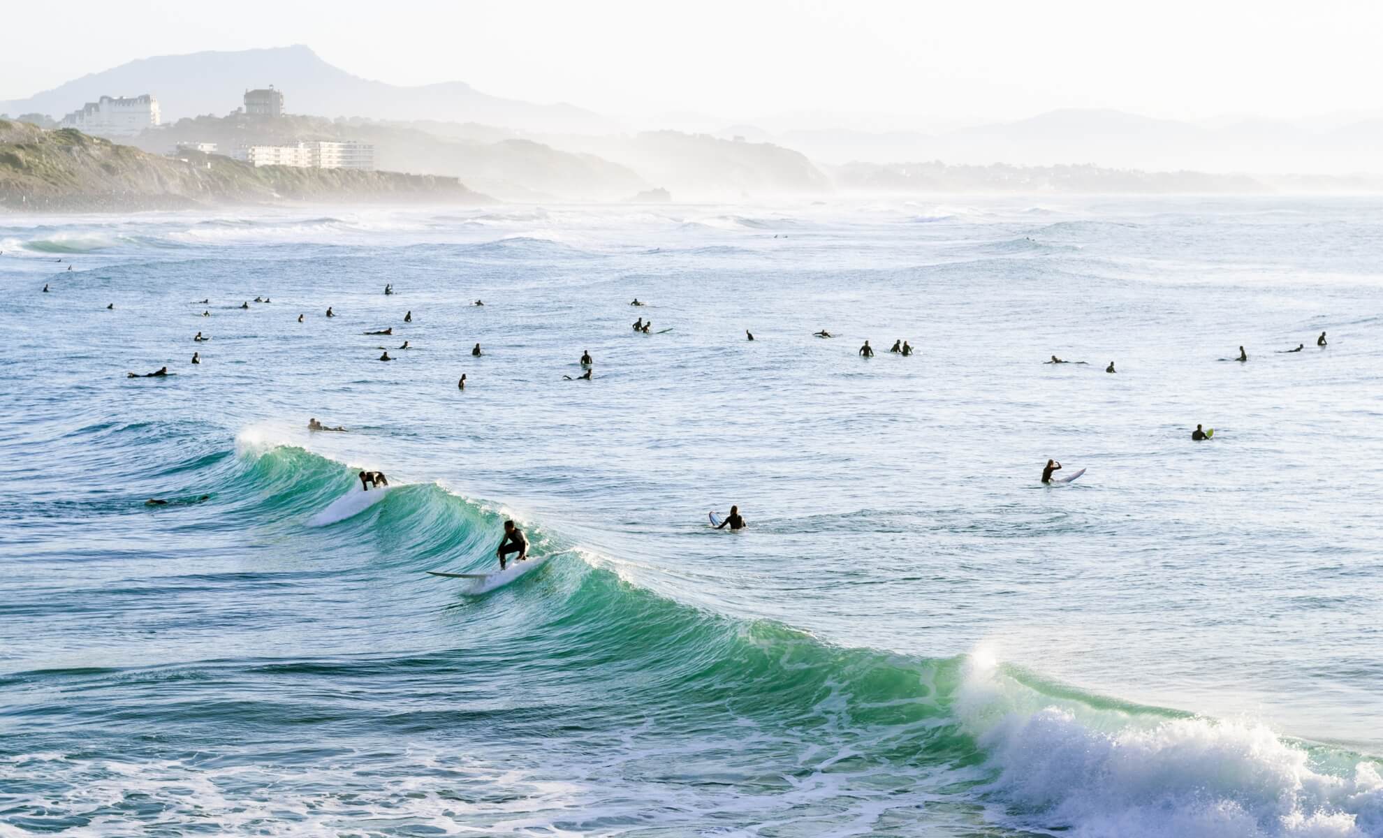 surf