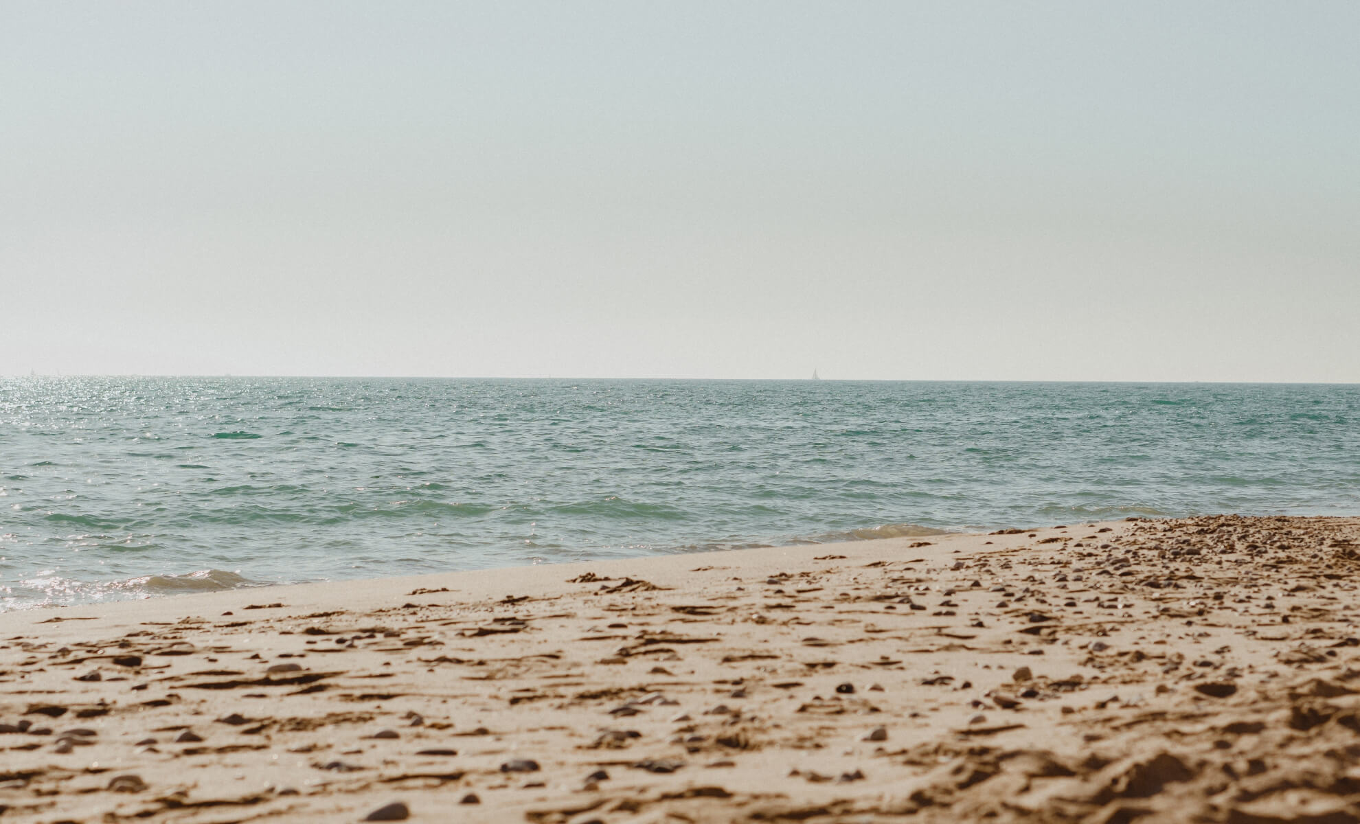 Coopers Beach