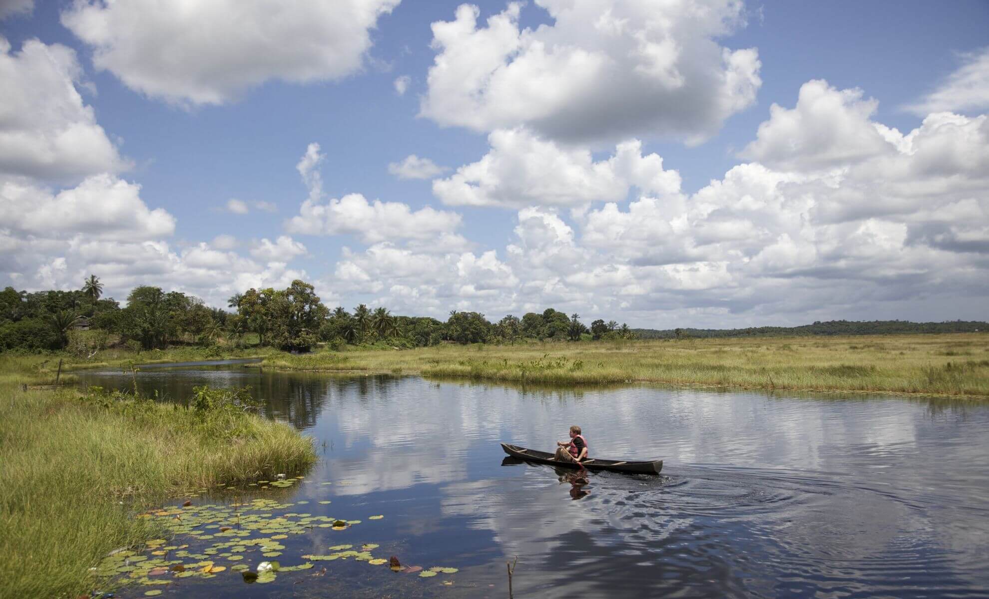 Foret de Guyane