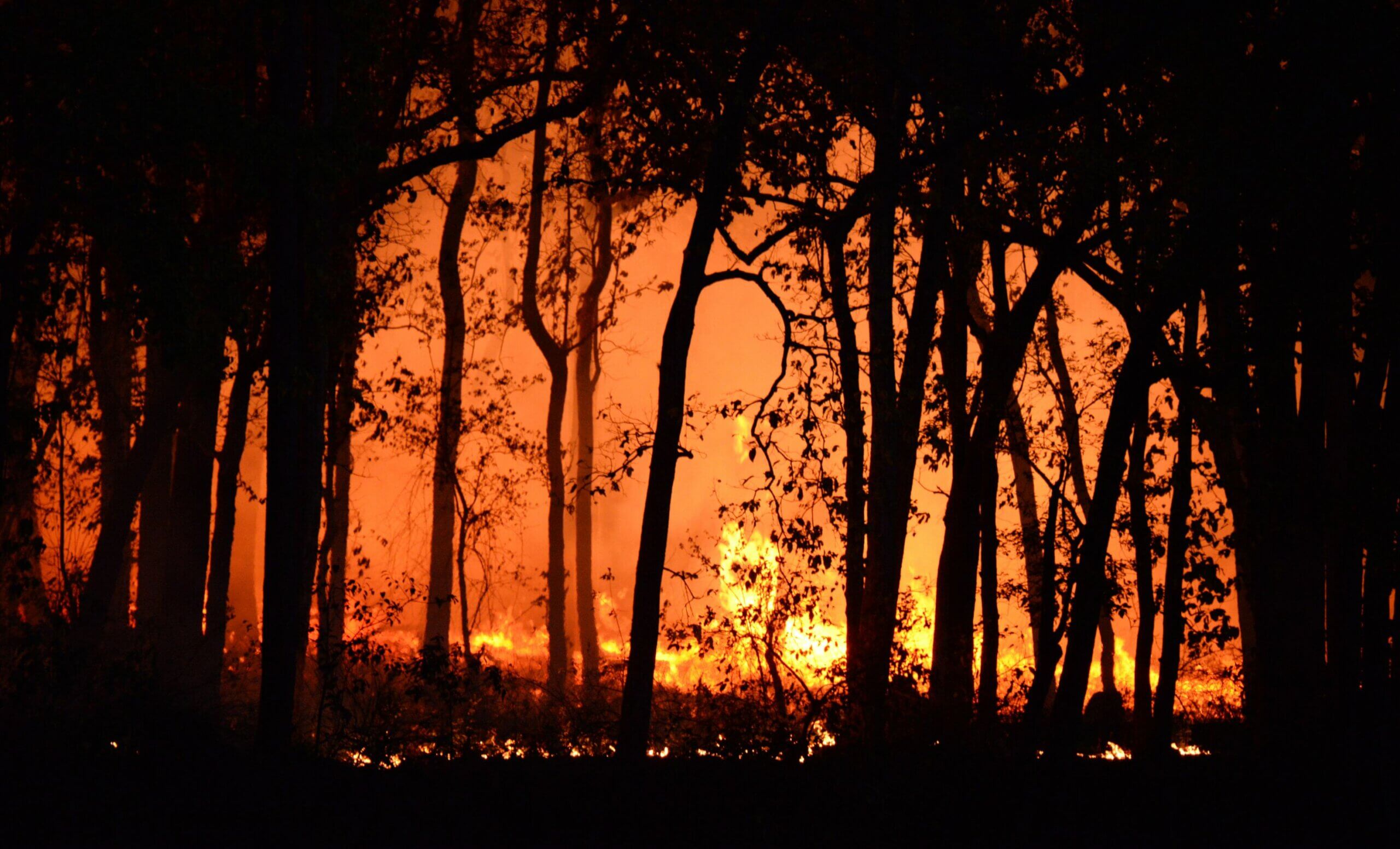Incendies en Crète