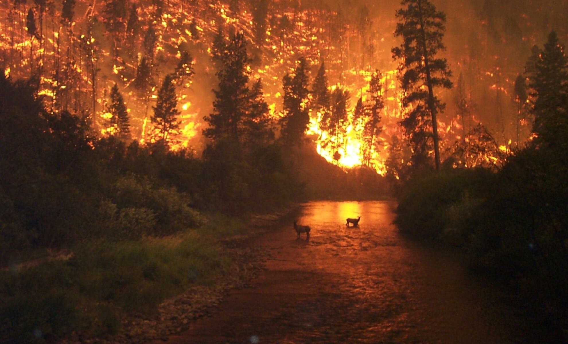 Incendies en Grece