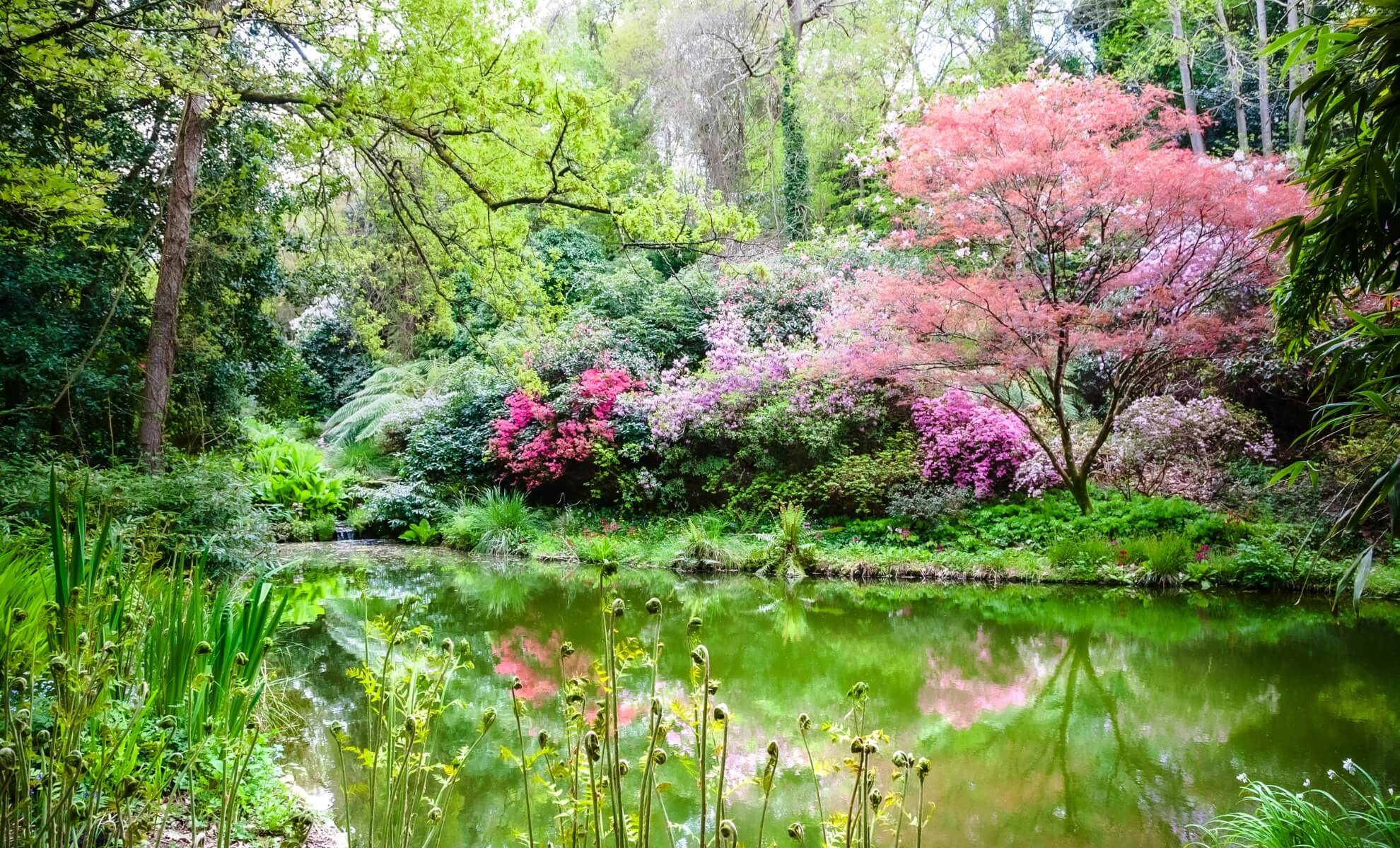 jardin de Kerdalo Bretagne