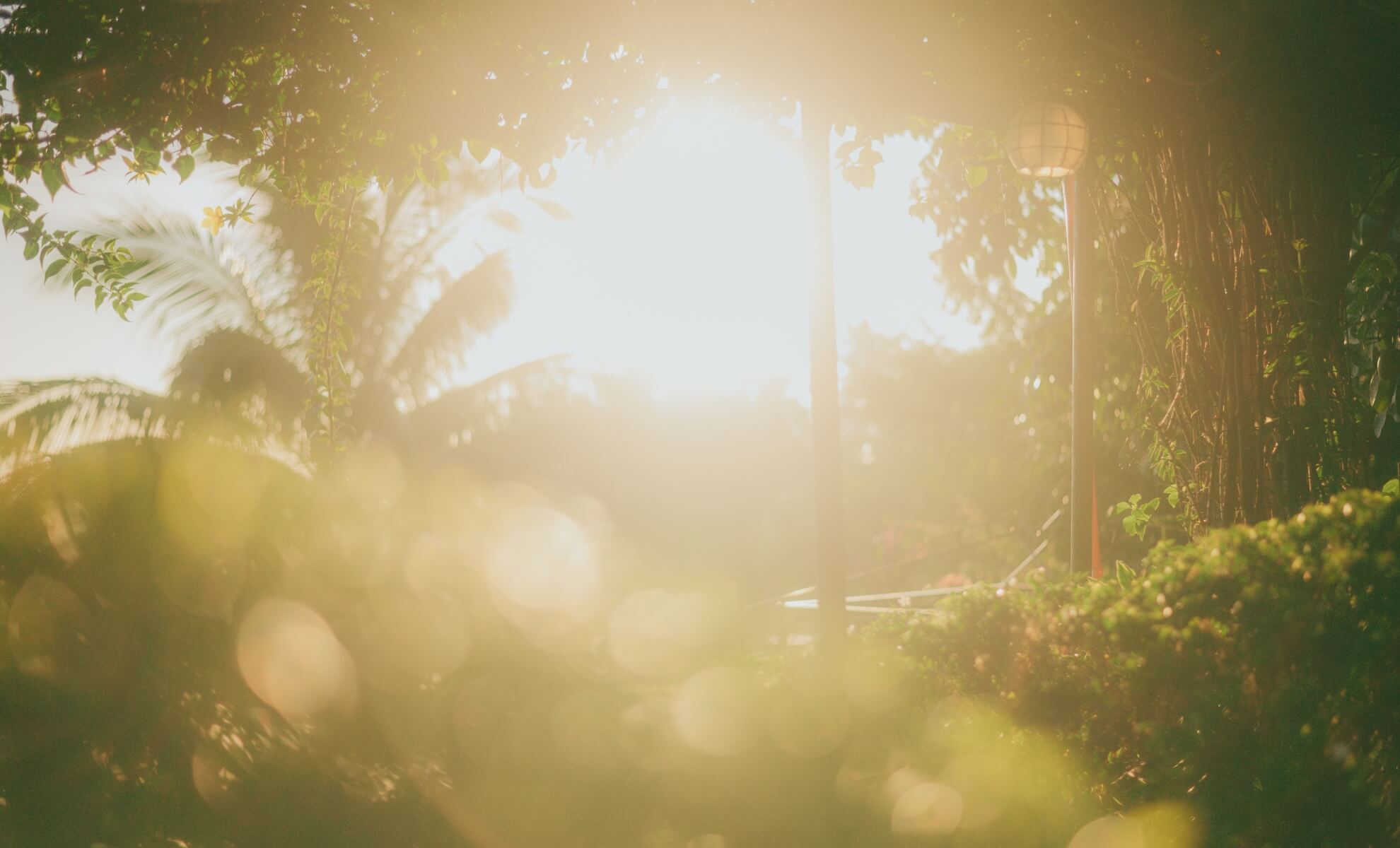Jardin au Maroc
