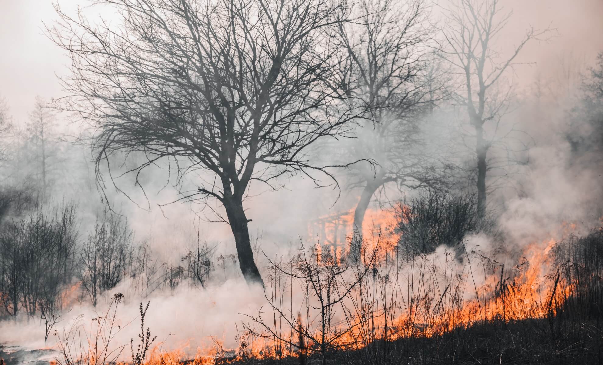 Le Portugal en alerte