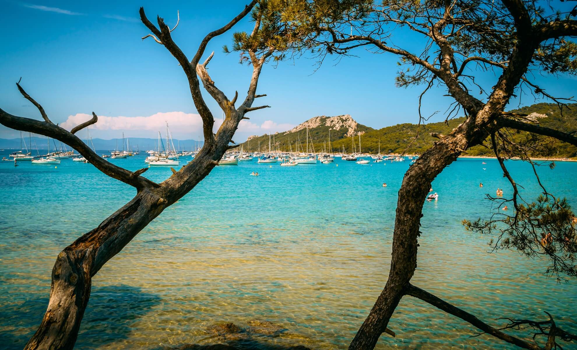 l’Île de Porquerolles