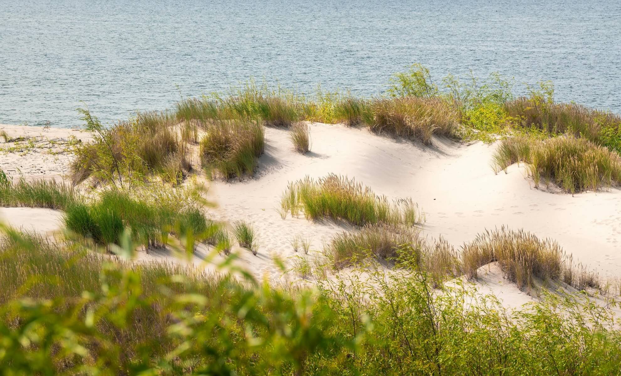 Dunes de Flandre