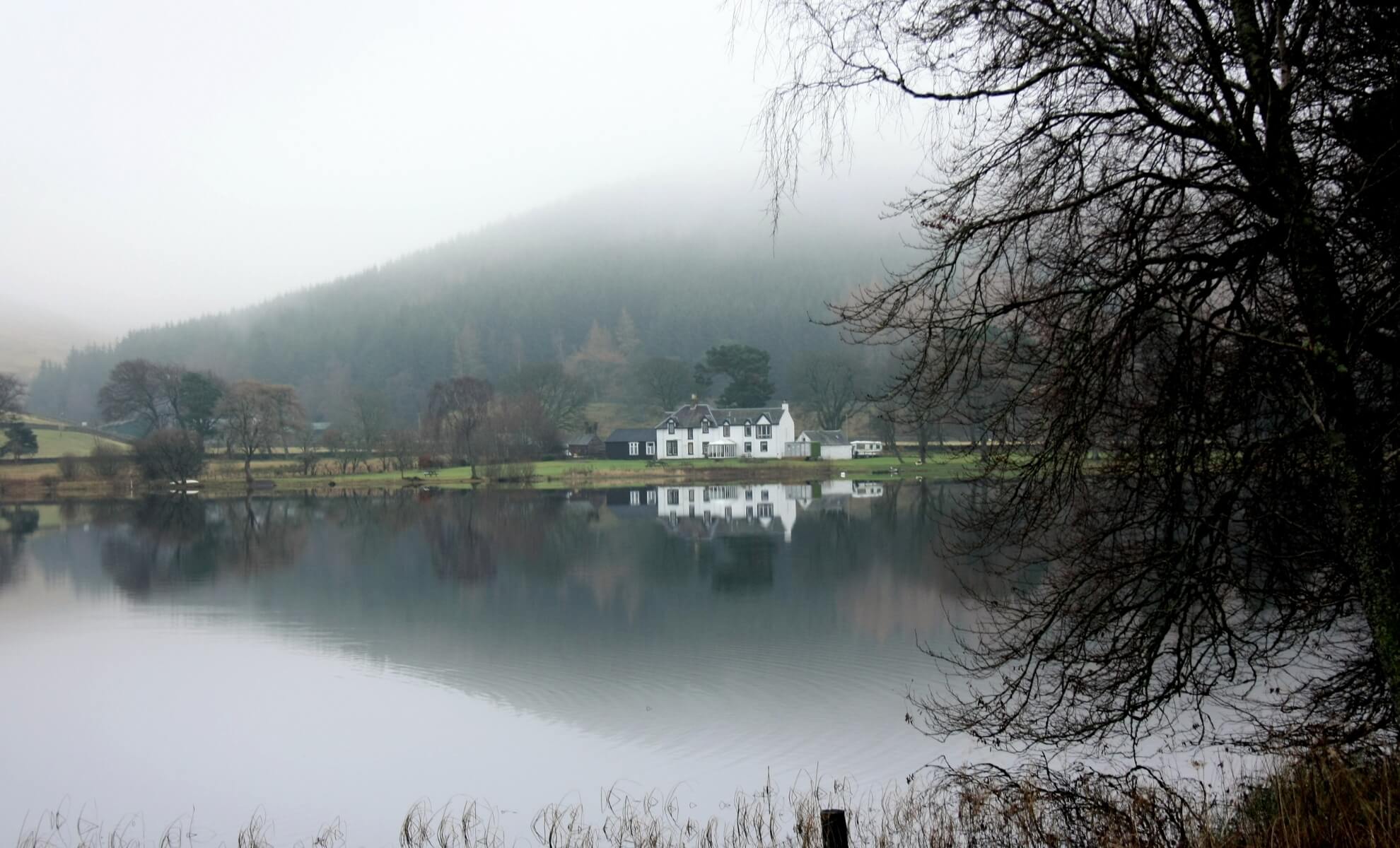 Ecosse