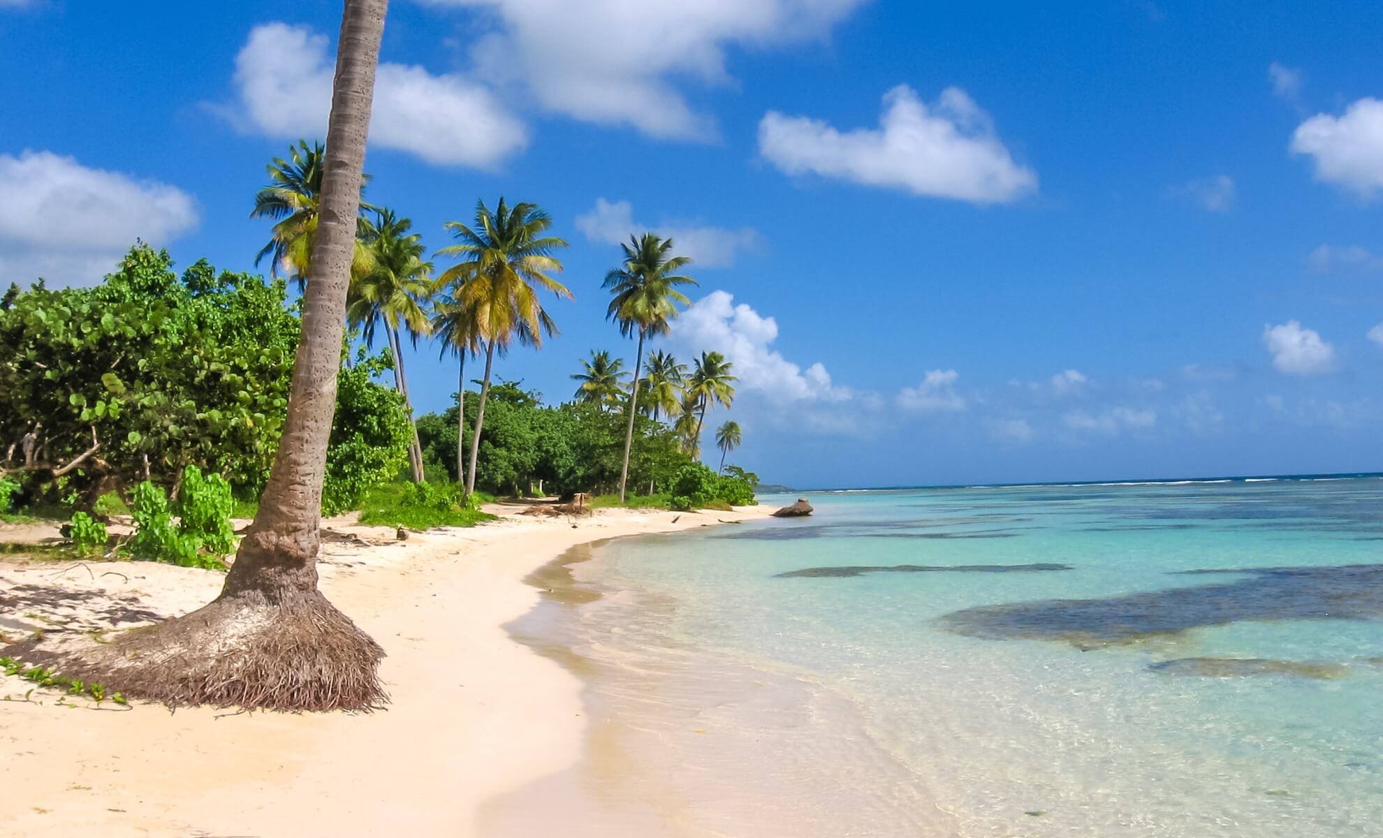 Guadeloup