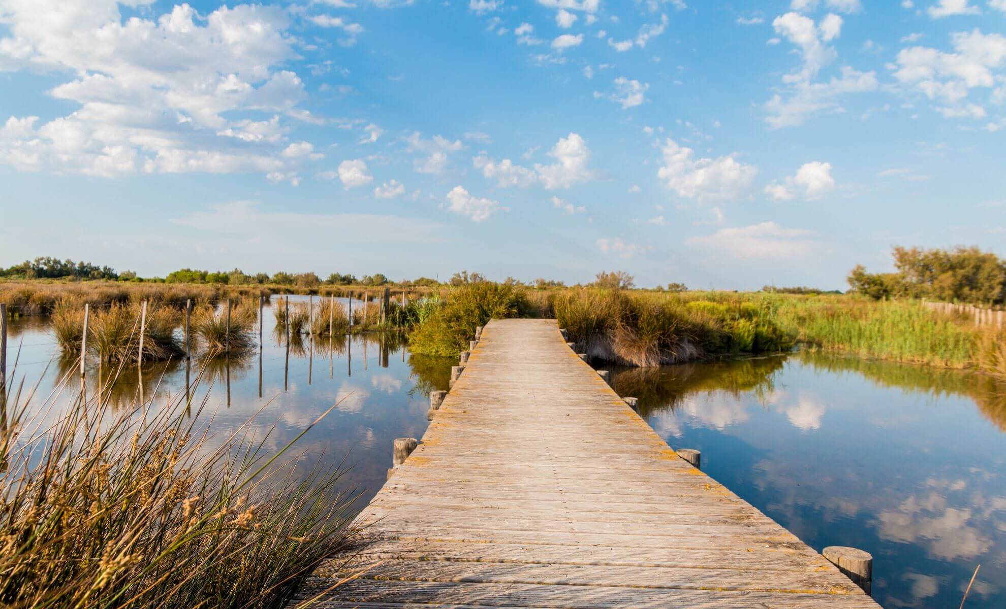 Camargue