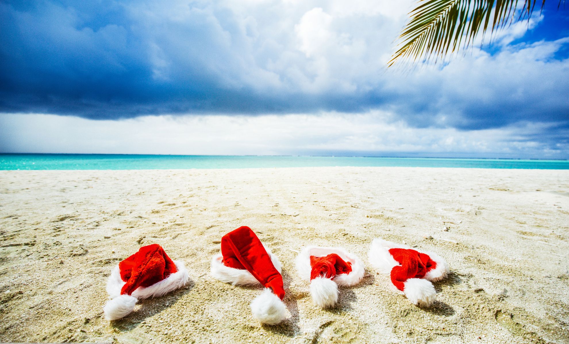 Boxing Day & Janvier