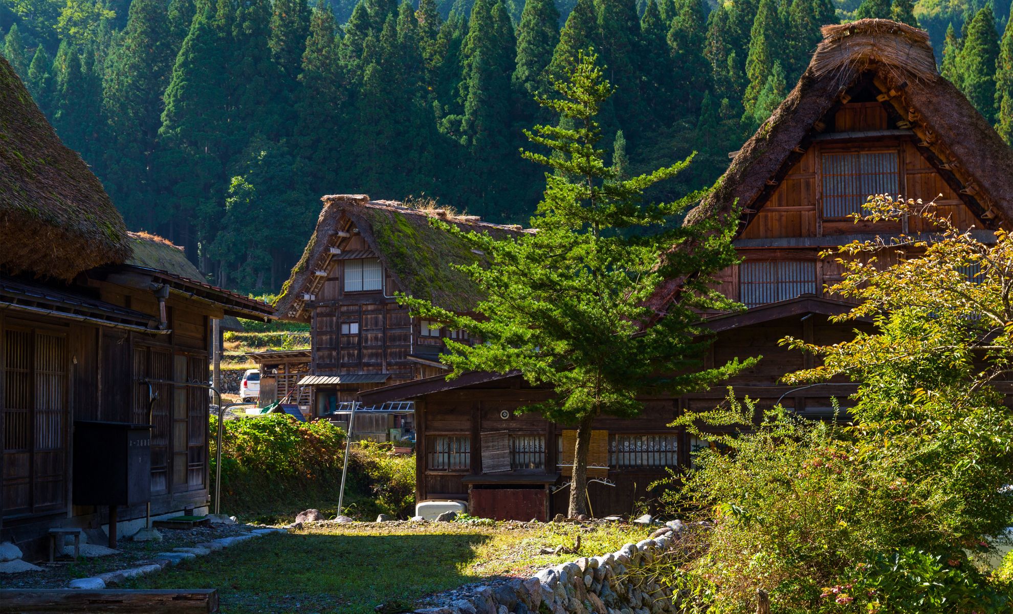Japon