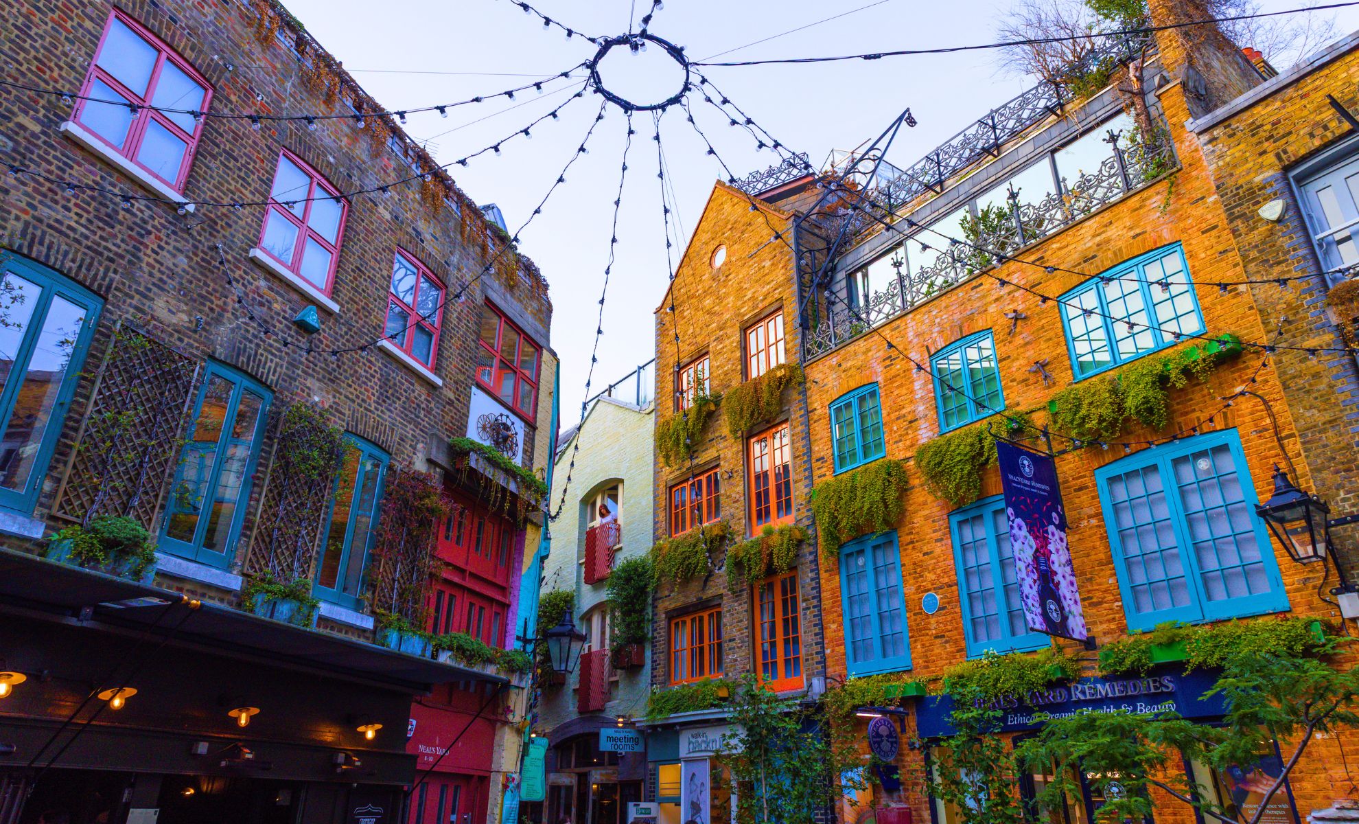 Neal's yard